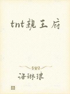 tnt亲王府