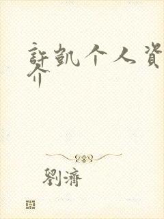 许凯个人资料简介