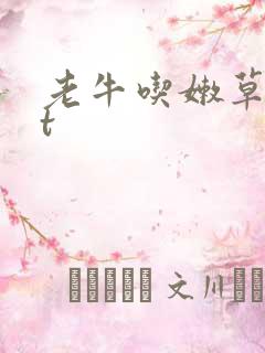 老牛吃嫩草txt