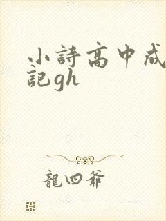 小诗高中成长日记gh