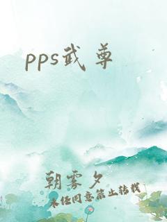 pps武尊