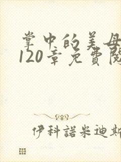 掌中的美母版主120章免费阅读