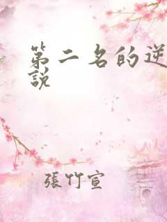 第二名的逆袭小说