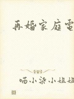 再婚家庭电视剧