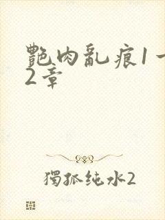 艳肉乱痕1一12章