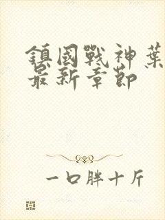 镇国战神叶君临最新章节