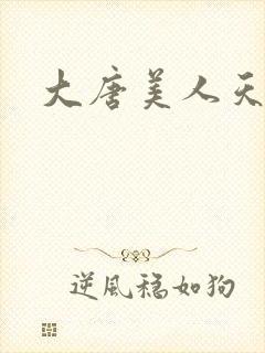 大唐美人天下