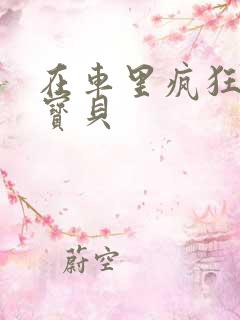 在车里疯狂挺进宝贝