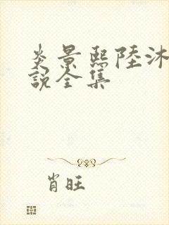 炎景熙陆沐擎小说全集