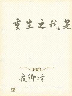 重生之我是战机