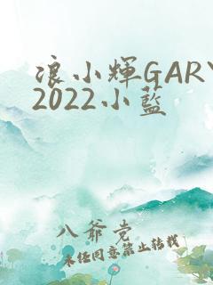 浪小辉GARY2022小蓝