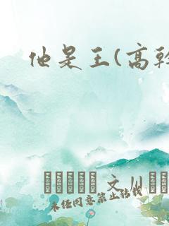 他是王(高干)