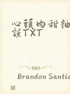 心头肉甜柚子小说TXT