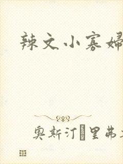 辣文小寡妇