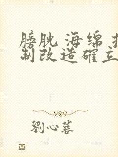 膀胱 海绵 控制改造确立m