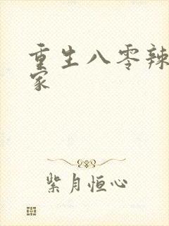 重生八零辣妻当家