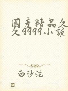 国产精品久久久久9999小说