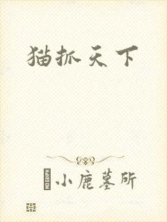 猫抓天下
