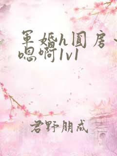 军婚h圆房～h嗯啊1v1