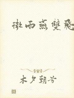 微雨燕双飞小说