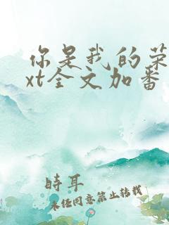 你是我的荣耀txt全文加番外