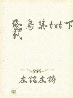 飞鸟集txt下载