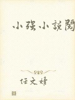 小强小说阅读网