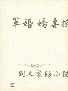 军婚 娇妻撩人