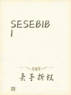 SESEBIBI