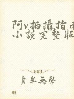 阿v拍摄指南说小说完整版