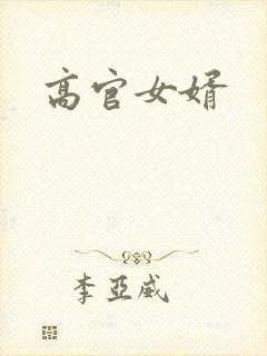 高官女婿