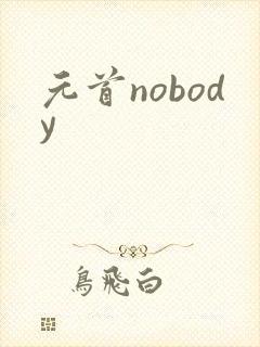 元首nobody