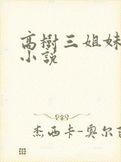 高树三姐妹有声小说