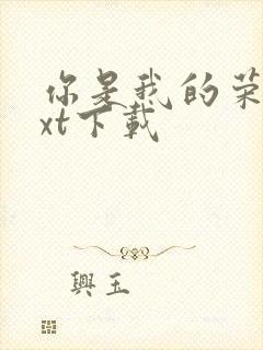 你是我的荣耀txt下载