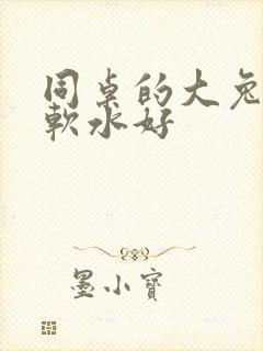 同桌的大兔子好软水好