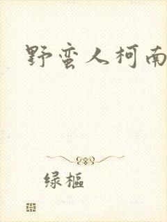 野蛮人柯南小说