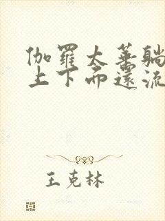 伽罗太华躺在床上下面还流东西