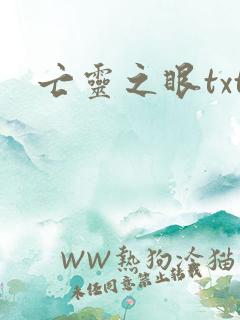 亡灵之眼txt