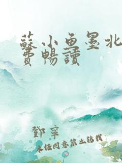 苏小鱼墨北枭免费畅读
