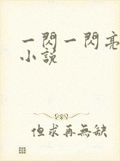 一闪一闪亮星星小说