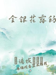 金银花露的小说