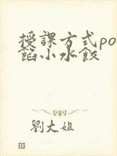 授课方式po肉馅小水饺