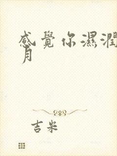 感觉你湿润我四月