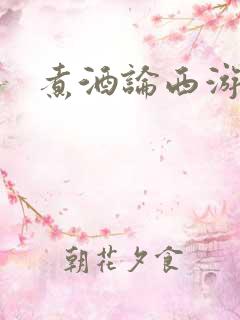 煮酒论西游