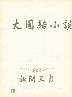 大团结小说下载