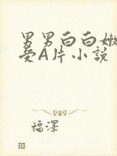 男男白白嫩嫩小受A片小说