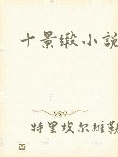十景缎小说