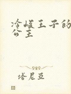 冷峻王子的完美公主