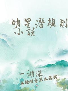 明星潜规则之皇 小说