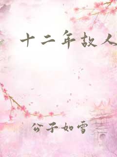 十二年故人戏